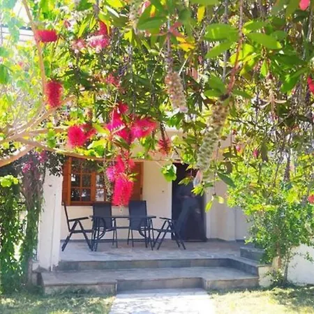 Greek Village Life By The Sea Marathiás